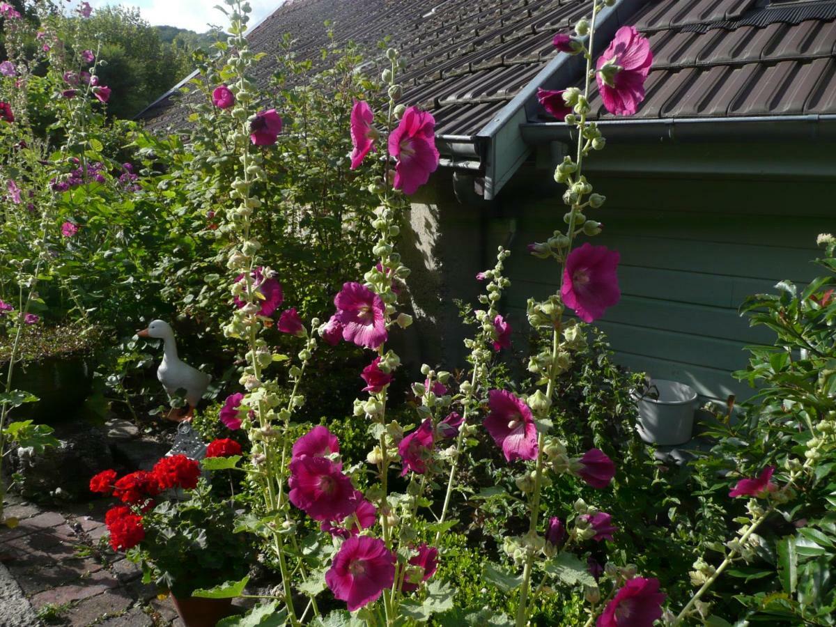 Bed and Breakfast Roulotte La Dominique Romery  Exteriér fotografie